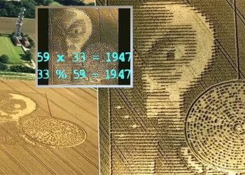 Physicist from Finland’s University of Helsinki  Decodes Strange Crop Circle With a Binary Code and Alien Face