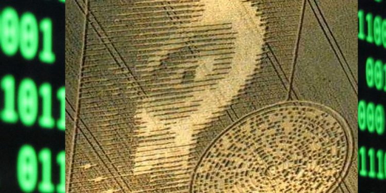 Physicist from Finland’s University of Helsinki  Decodes Strange Crop Circle With a Binary Code and Alien Face
