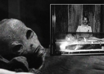 Frances Egyptologist Discovered An “Alien Mummy” In A Secret Chamber  Of The Great Pyramid