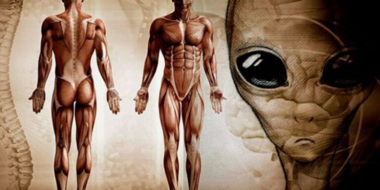 Apollo 15 Astronaut Claims Extraterrestrials Created the Human Race